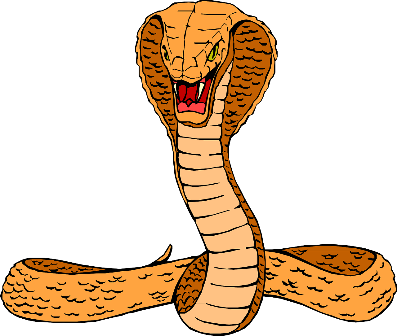 Dibujo de cobra